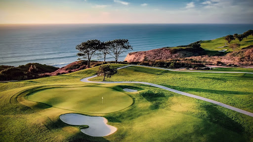 The Power of ONE Torrey Pines