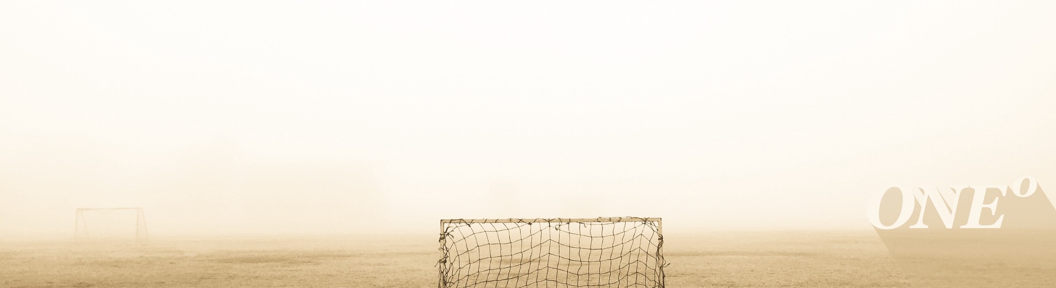 Maximize your Impact!