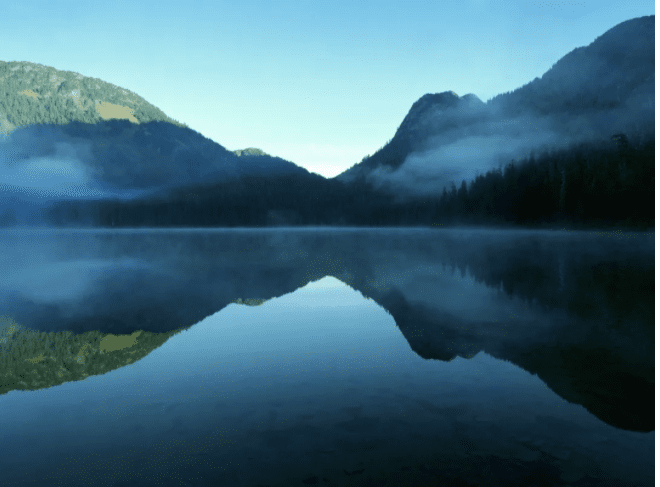 Will the Slow Growth Bumpy Ride Continue?