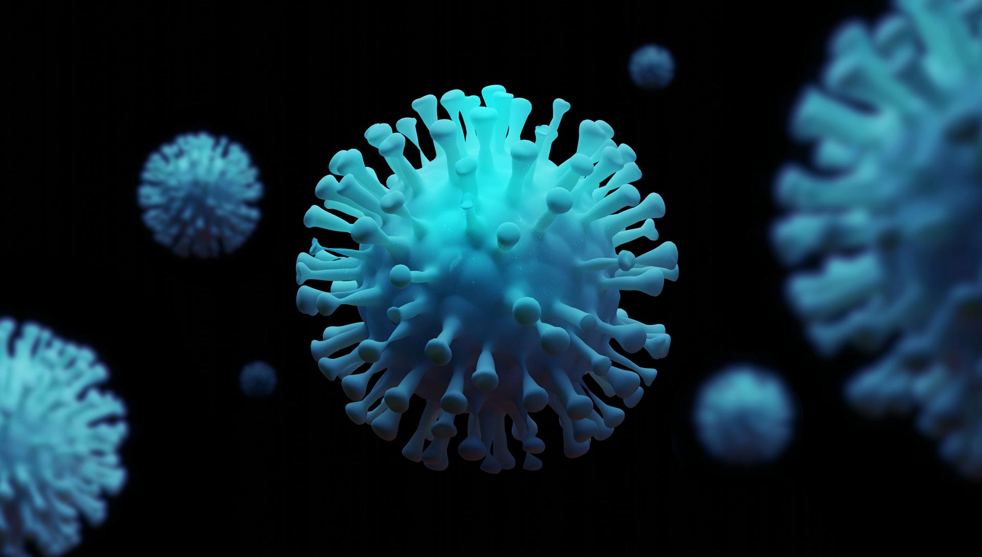 Coronavirus and the Stock Market