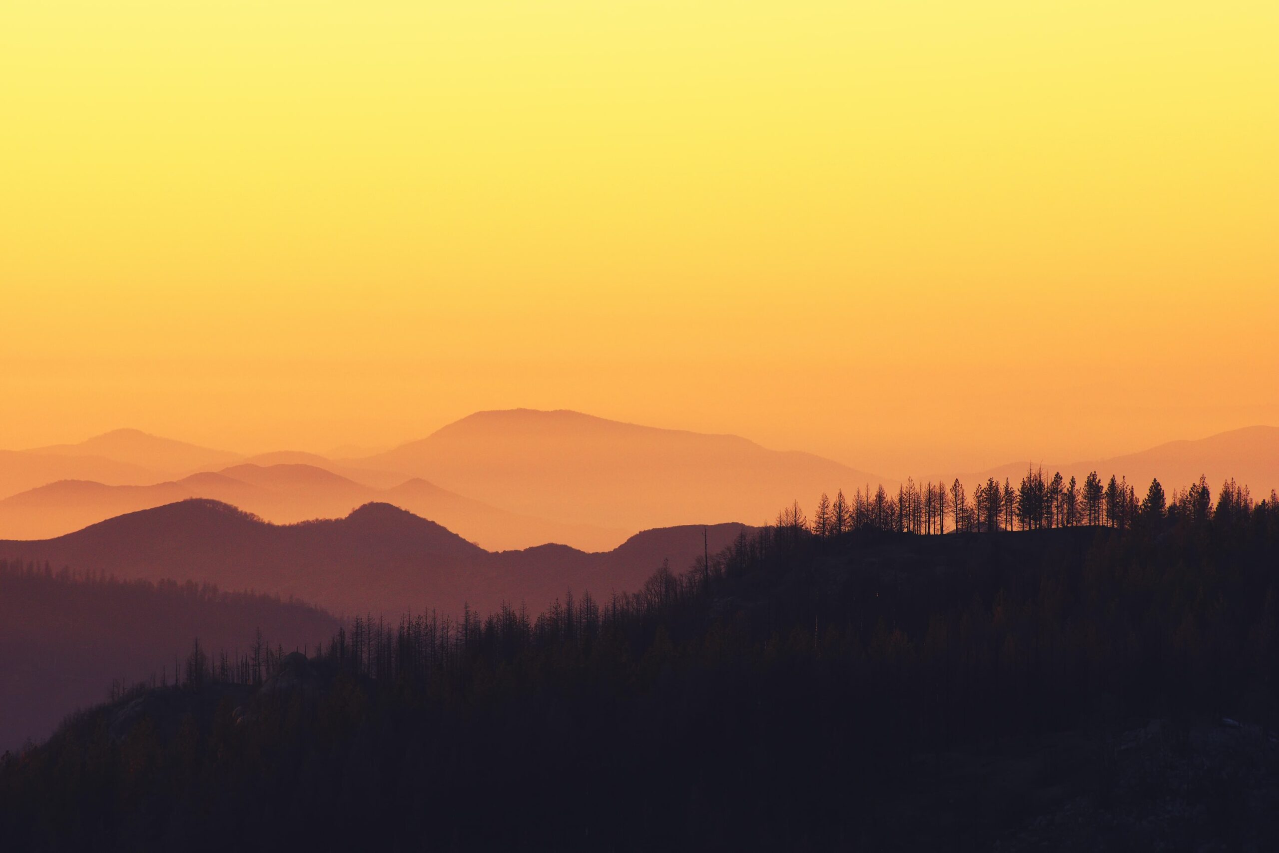 King's Canyon